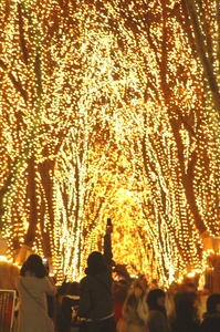 ページェント全体DSC_6314.JPG