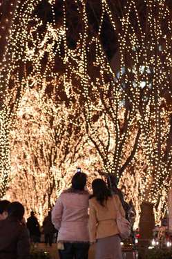 かっぷっる撲滅写真DSC_1488.jpg
