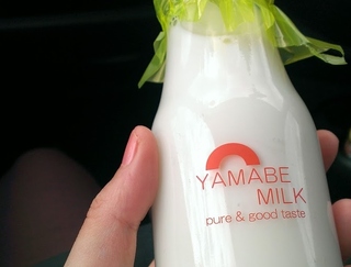yamabe.jpg