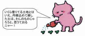 猫：水やり.jpg