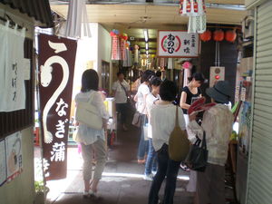 P8070050.JPGのサムネール画像