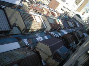 PC060026.JPG