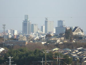 P2260017.JPG